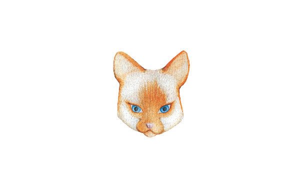 Grumpy Red Point Siamese Cat Watercolor for Cat-Themed Digital Products