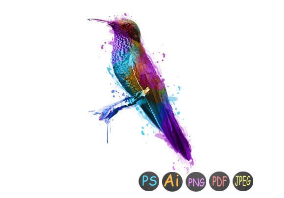 Watercolor Bird 46: A Review for Print Templates