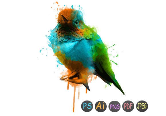 Watercolor Bird 49: A Review for Print Templates