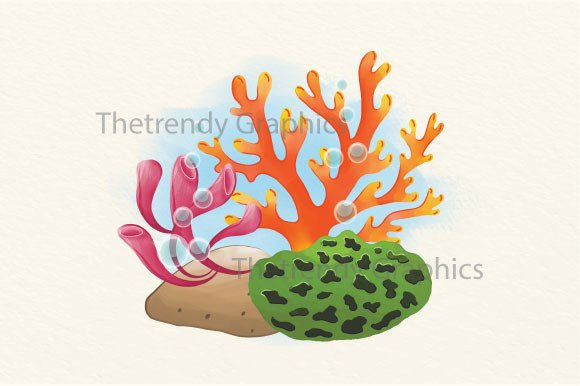 Watercolor Seaweed Plants Sublimation Review